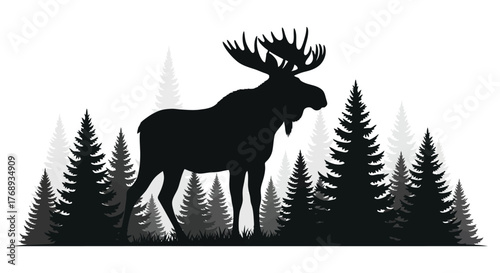Majestic moose standing tall among coniferous trees in a striking black and white silhouette