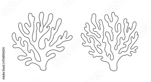 Two delicate coral reef sketches presented on a plain white background