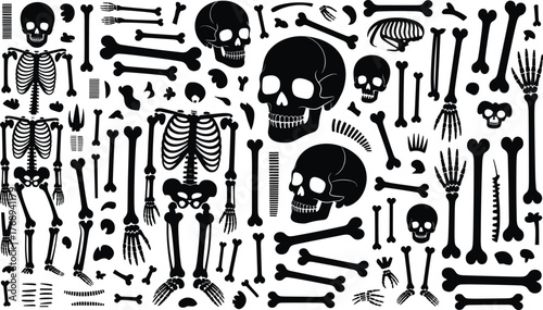 Human skeleton silhouette collection, skull and bone vector illustration, anatomy icon set, medical graphic design element, forensic study reference, cad drawing flat vector illustration
