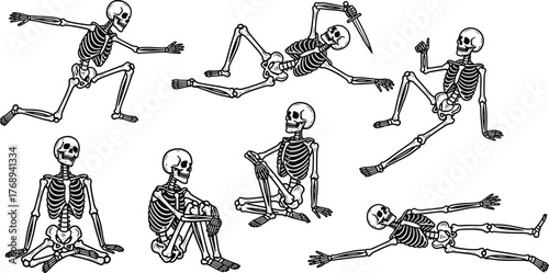 Human skeleton silhouettes vector illustration, anatomy design, bone structure artwork, medical study concept, spooky skeleton poses, cad drawing flat vector illustration