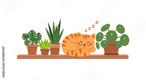 Adorable orange kitten peeking from behind lush potted houseplants on a shelf whimsical cute home decor concept isolated on white background