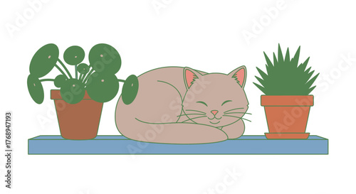 Cozy cat napping peacefully between potted plants on a shelf cozy home decor adorable pet relaxation scene isolated on white background