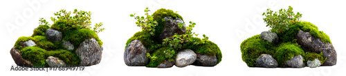 Set of lush moss on natural stones, miniature landscape, isolated on transparent background
