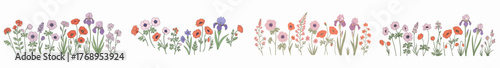 Poppy and iris flowers arrangement with transparent background