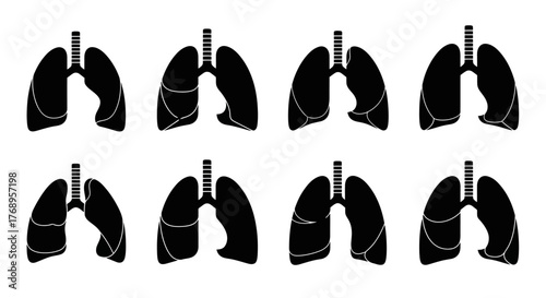Anatomical illustration displaying multiple views of human lungs in black