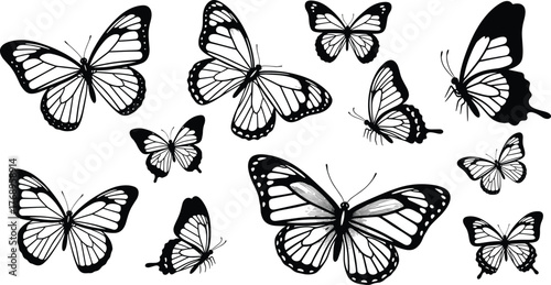 Butterfly silhouette collection, wing pattern icons, insect species variety, nature flight pose, entomology reference set, flat vector illustration