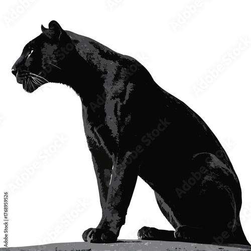 Photography silhouette of a bear