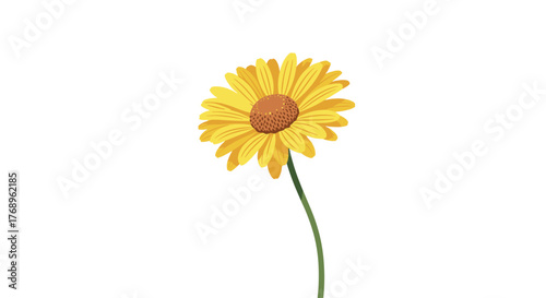 A single bright yellow daisy with a brown center stands tall on a green stem against a white background.