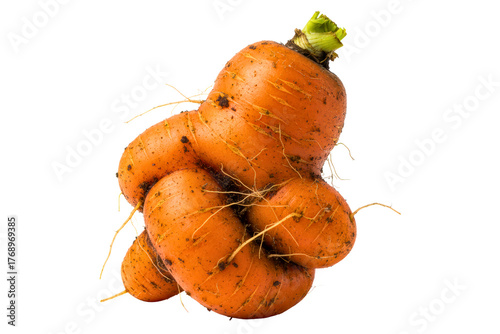 Ugly deformed organic carrot with dirt freshly harvested isolated on a transparent background