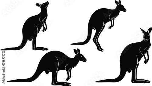 Kangaroo silhouette vector illustration australian wildlife art editable vector