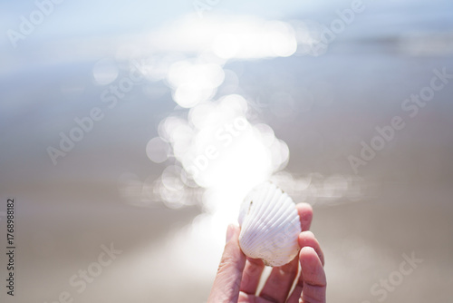 砂浜に落ちている白い貝殻持つ手元