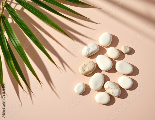 Minimalist Pebble Flat Lay with Tropical Shadows