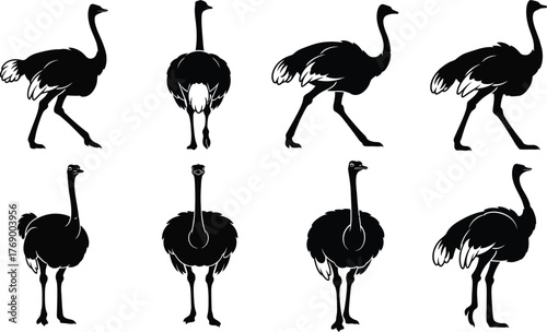 Ostrich silhouette vector illustration of african bird animal design art editable vector