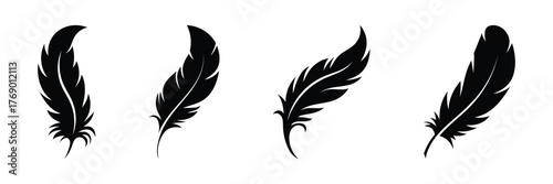 Simple and modern feather vector collection for minimalist art projects
