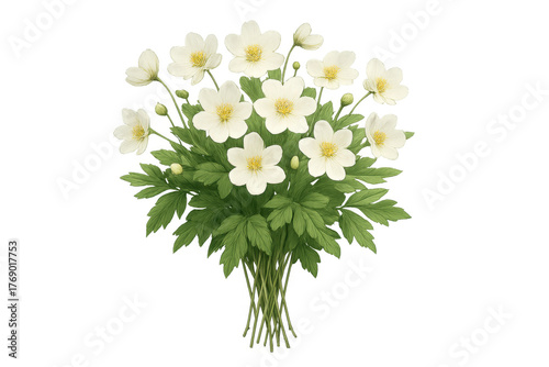Fototapeta Naklejka Na Ścianę i Meble -  White anemone flowers bouquet with green leaves composition, creating a botanical illustration, transparent background