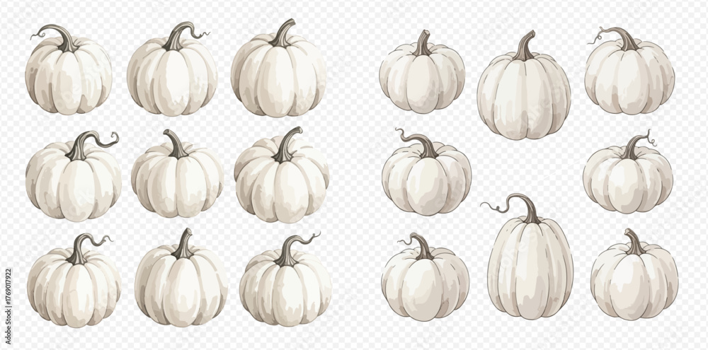 Fototapeta premium A collection of white pumpkins, arranged in a grid pattern, showcasing their unique shapes and textures.