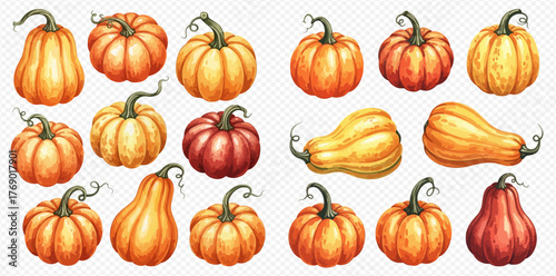 A collection of watercolor pumpkins in various shapes and colors, arranged on a transparent background.