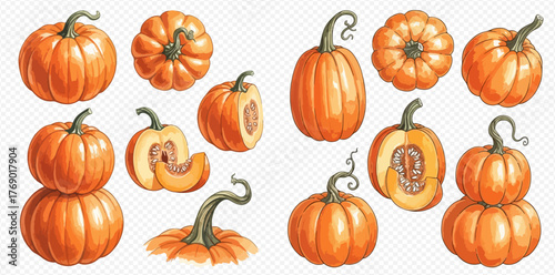 A collection of watercolor pumpkins in various shapes and sizes, some whole and some cut open.