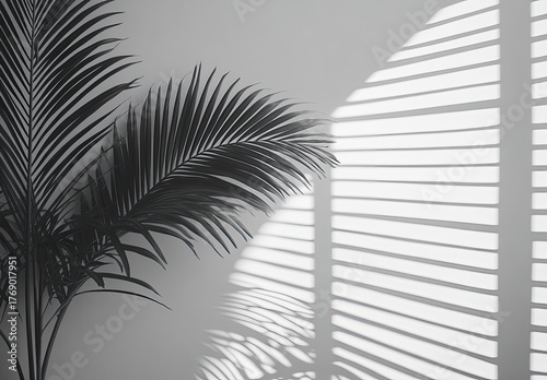 Palm fronds cast shadows from window blinds on a white wall