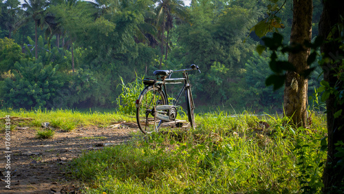 A vintage bicycle parked on a muddy village path surrounded by lush green trees and vegetation on a calm morning in rural Kerala.