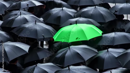 A vibrant green umbrella stands out amidst many black umbrellas, in a rainy setting, among people