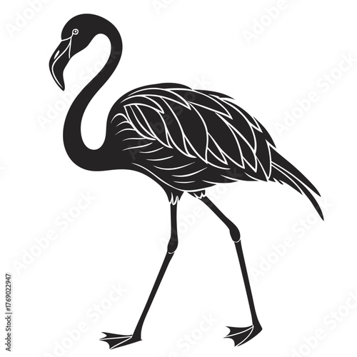vector illustration of a flamingo