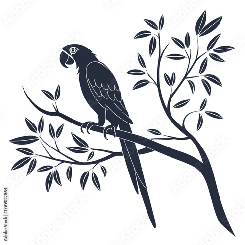 bird on branch