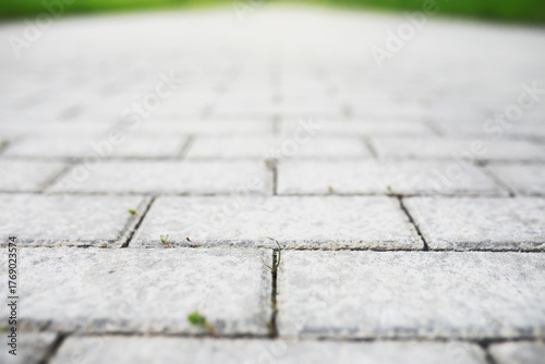 Close-Up View of Vibrant Green Grass Growing Between Grey Cobblestone Pavement