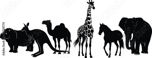 Silhouette animal lineup, kangaroo on hippo, giraffe, camel, elephant, horse, flat vector, cad drawing, black shape, wildlife illustration