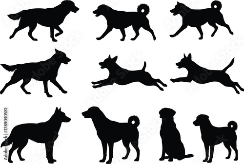 Dog silhouette vector illustration, nine dynamic canine poses in grid layout, white background for pet, animal, and breed identification design concepts