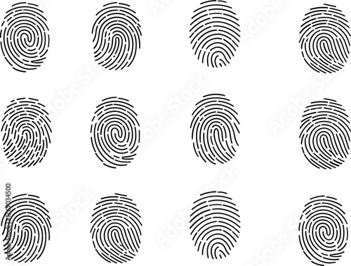 Fingerprint vector illustration, twelve unique black biometric patterns in grid layout, white background for forensic, identity, and security design concepts