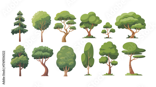 Cartoon tree. Simple flat forest flora, coniferous and deciduous meadow trees, oak pine Christmas tree isolated plants. Vector set illustration agricultural garden and nature park plant