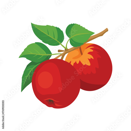 Two red apples with green leaves hanging from a branch.