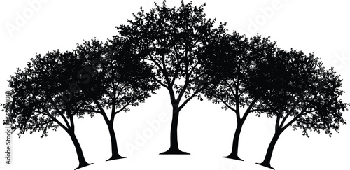 Row of tree silhouettes on hill, vector illustration of natural forest landscape with detailed branches and leaves, nature background art