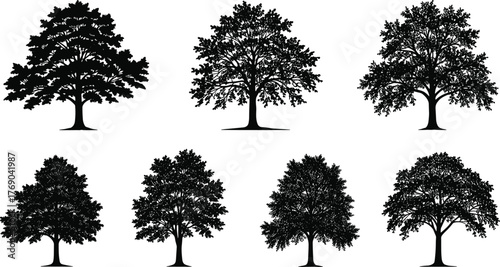 Collection of tree silhouettes in different shapes, vector illustration of natural forest trees for landscape design, nature background art