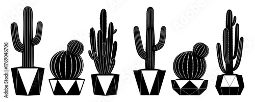 Cactus in pot, a symbol of endurance, tenacity, and unconditional love, thriving in harsh environments