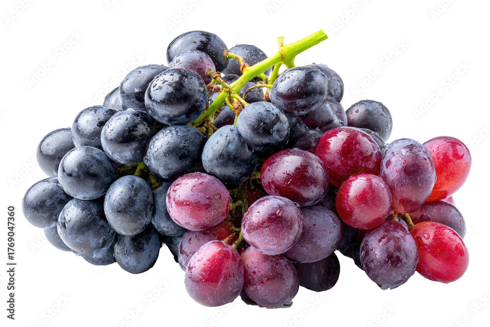 Fototapeta premium Cluster of black/red grapes, wet, on dark background