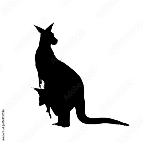 Silhouette of kangaroo with baby.