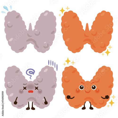 働きが鈍くなっている甲状腺のキャラクターと元気な甲状腺のキャラクター／Cute Illustration of a Sluggish and a Healthy Thyroid Character