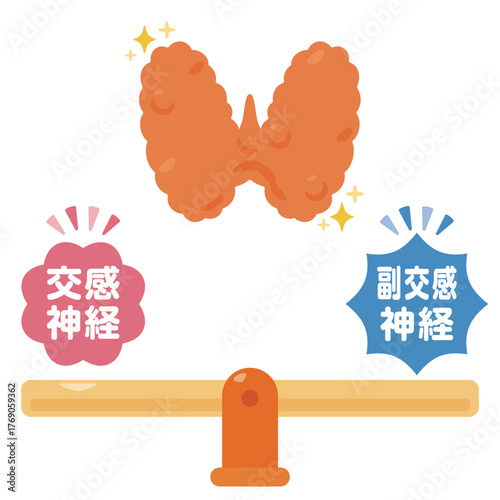 バランスの取れた自律神経と健康的な甲状腺のイラスト／Illustration of a Balanced Autonomic Nervous System and a Healthy Thyroid
