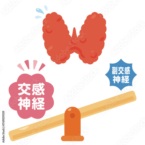 交感神経が優位になって働きが過剰になる甲状腺のイラスト／Illustration of an Overactive Thyroid with a Dominant Sympathetic Nervous System