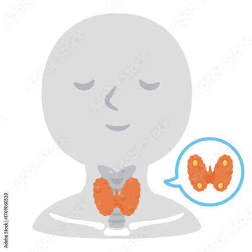 甲状腺の構造人物イラスト／Colored Thyroid Gland on Human Silhouette – Medical Anatomy Illustration