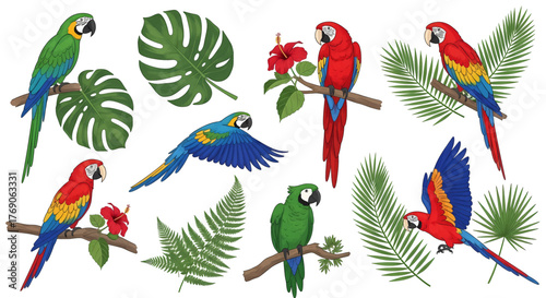A vibrant collection of illustrated tropical macaw parrots and exotic jungle leaves like monstera and palm fronds.