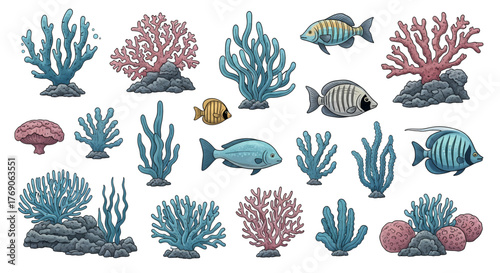 Diverse Collection of Colorful Coral Reefs and Tropical Fish.