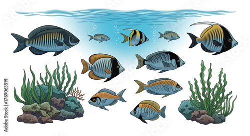 Colorful school of various tropical fish swimming among green seaweed in blue water.