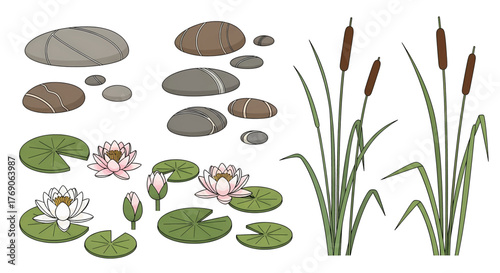 A collection of illustrated pond elements featuring river stones water lilies and cattail reeds.
