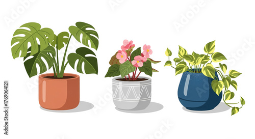Diverse Potted Houseplants Collection: Monstera Begonia and Pothos Varieties.