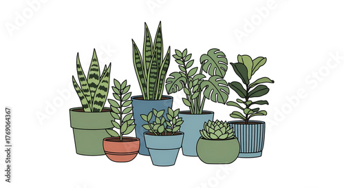 Collection of various potted houseplants with diverse foliage and containers.