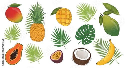 Colorful Tropical Fruits and Palm Leaves Vector Illustration Set.