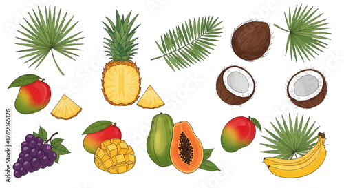 Assortment of Tropical Fruits and Palm Leaves.